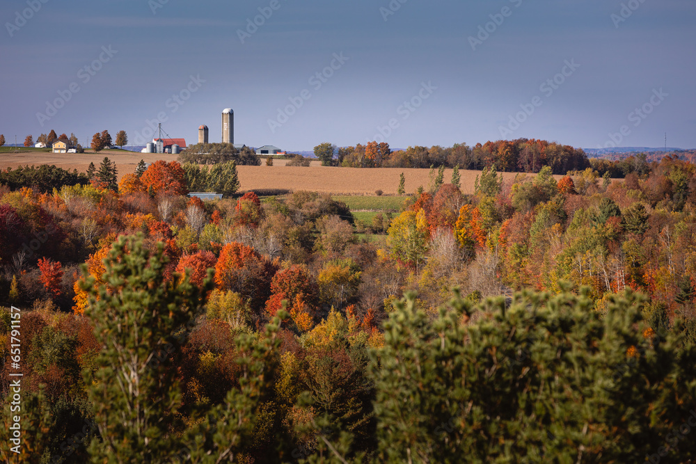 Colorful leaves on trees in autumn forest, Coaticook, Canada