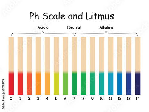 Ph Scale and Litmus Science Design Vector Illustration