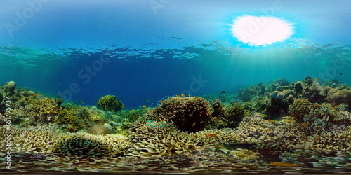 Marine life sea world. Underwater fish reef marine. Tropical colourful underwater seascape. Philippines. Virtual Reality 360. © Alex Traveler