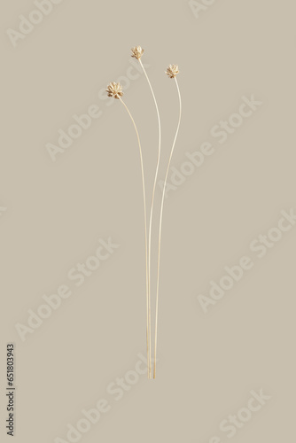 Set of Dried Tall Grass Stems with Flower Blooms