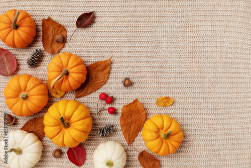 Happy Thanksgiving composition from autumn foliage, pumpkins and fall decorations on knitted woolen background top view. Cozy and warm concept of harvest, autumn holidays and still life. .