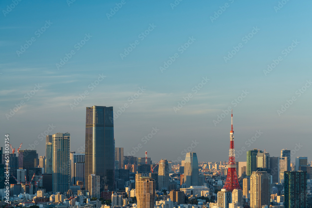 Fototapeta premium 快晴の東京タワーと東京都心の都市風景