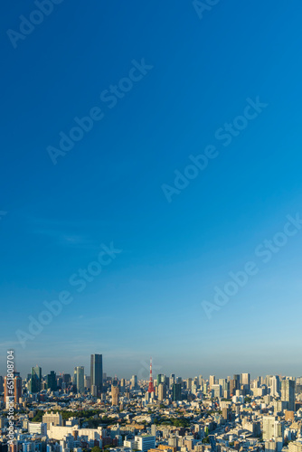 快晴の東京タワーと東京都心の都市風景