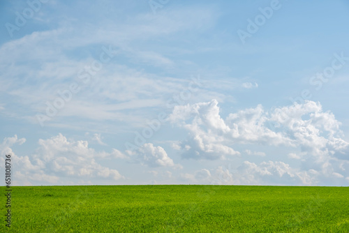 Beautiful blue sky with clouds over meadow or pasture with green young grass.