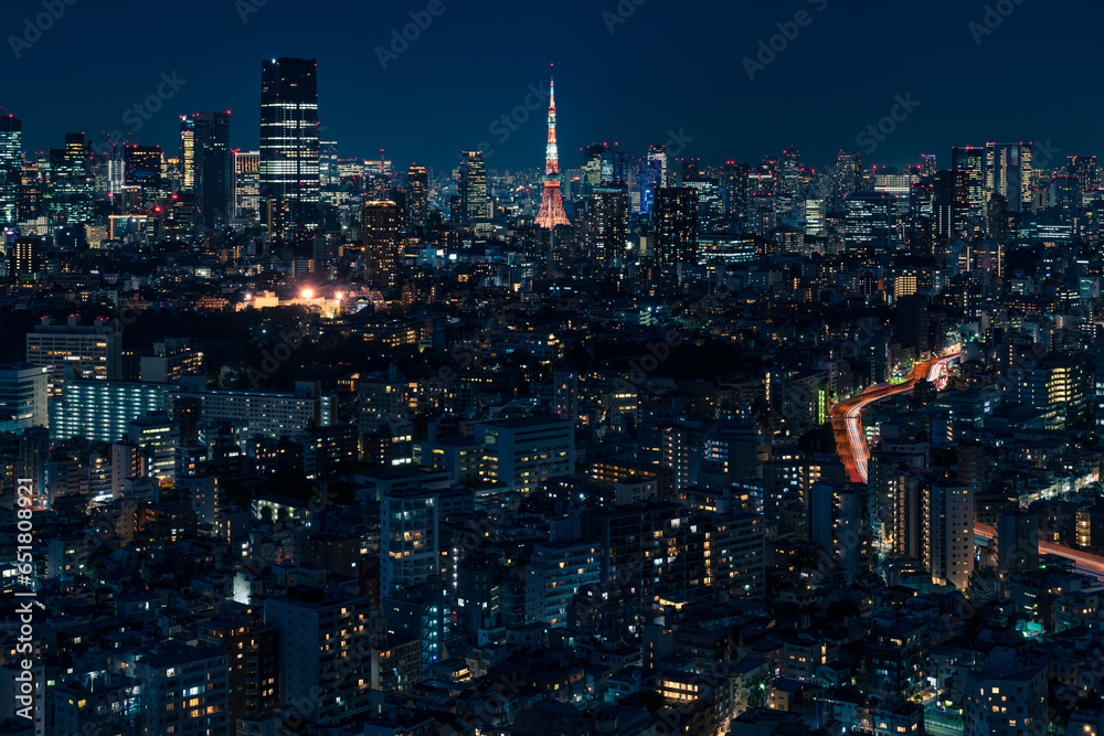 ライトアップされた東京タワーと東京都心の夜景