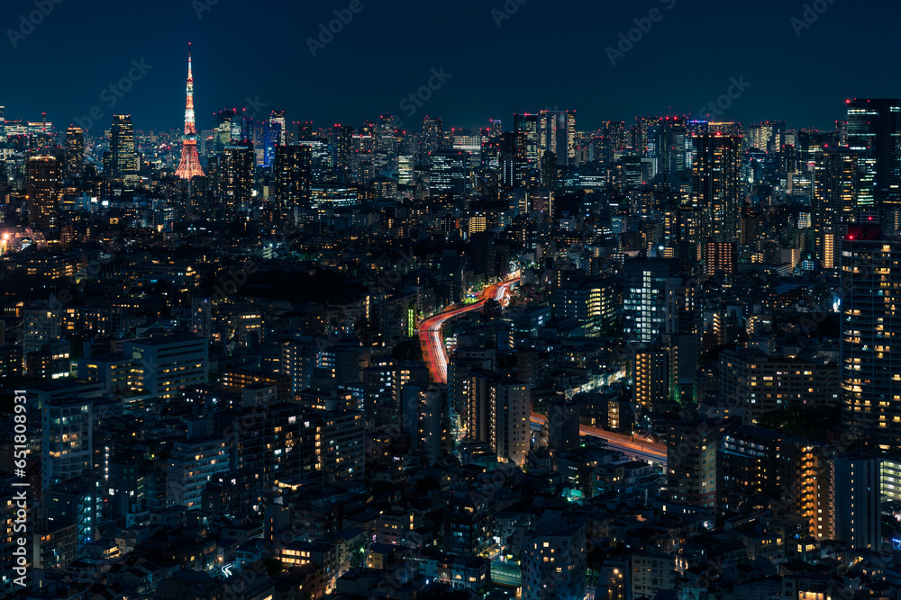 Fototapeta premium ライトアップされた東京タワーと東京都心の夜景