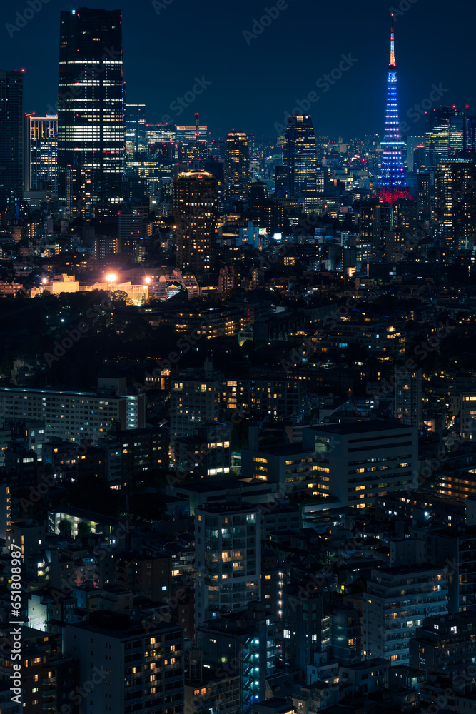 Naklejka premium ライトアップされた東京タワーと東京都心の夜景