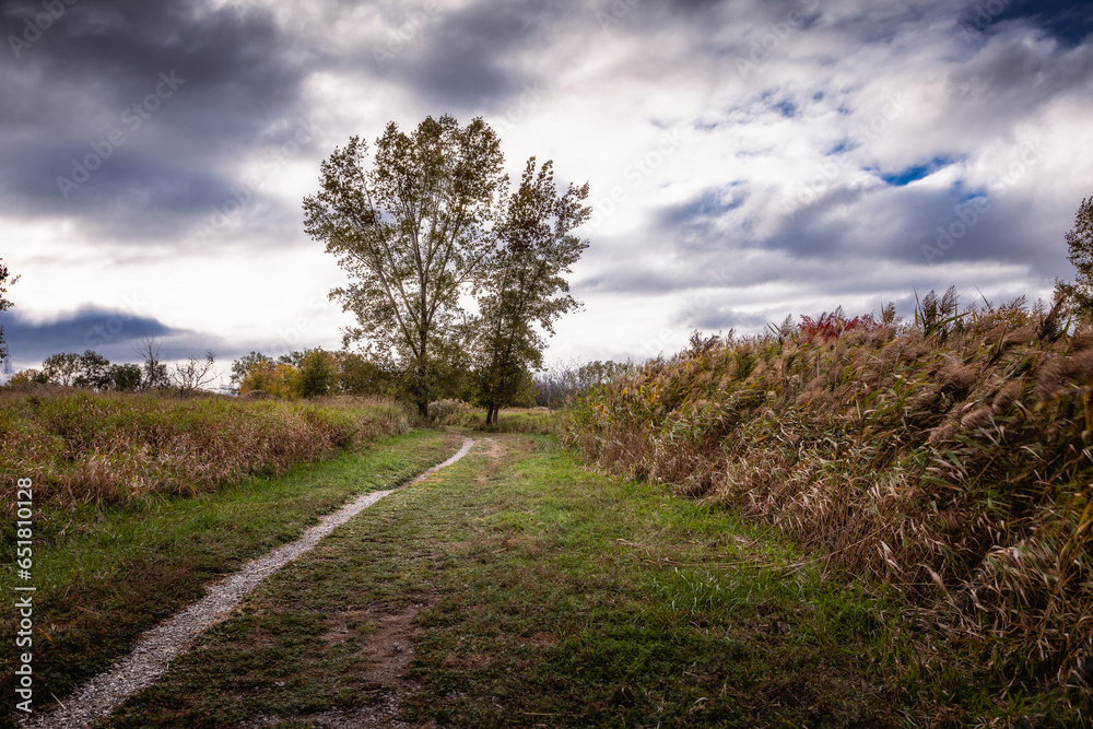 Obraz premium Beautiful Fall moment in Quebec, Canada