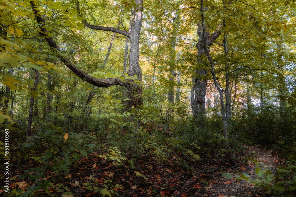 Naklejka premium Beautiful Fall moment in Quebec, Canada