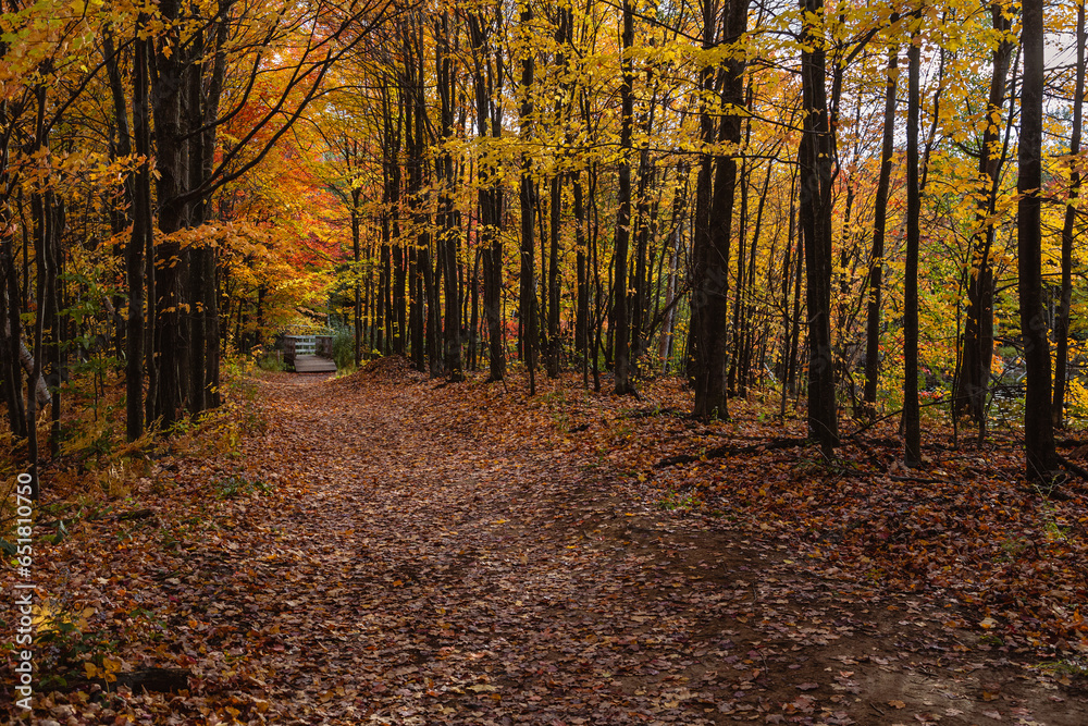 Fototapeta premium Beautiful Fall moment in Quebec, Canada