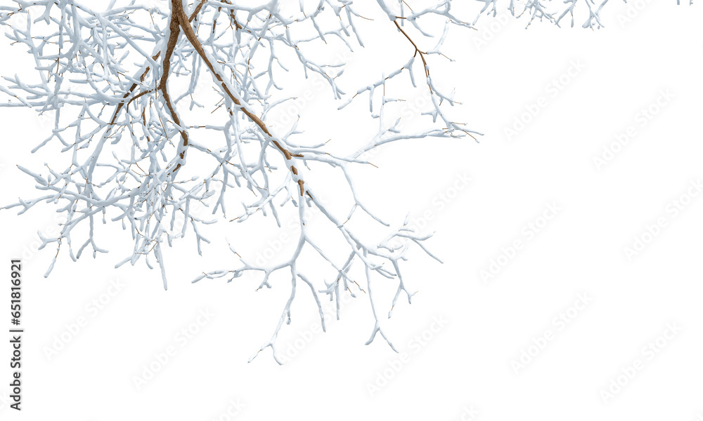 Obraz premium Snow covered branches of tree on white