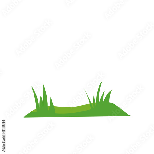 Green lawns with grass