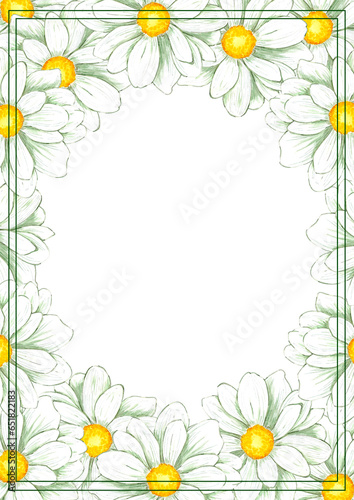 Hand drawn watercolor chamomile frame isolated on white background. Can be used for print, postcard, poster, book decoration and other printed products.