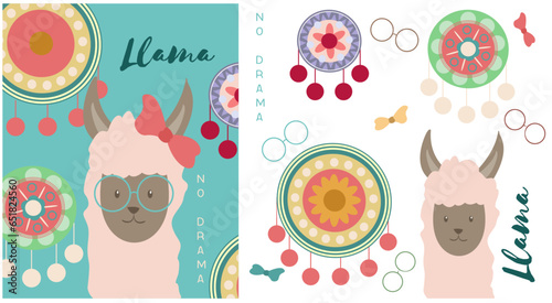 Llama cards. Baby llamas cute alpaca and patterned circle. cute llama use glasses. llama no drama summer concept. llama use glasses card. with isolated vector