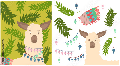 Llama cards. Baby llamas cute alpaca and green leaf. motif cloth on llamas backs. cute llama with accessories on the neck