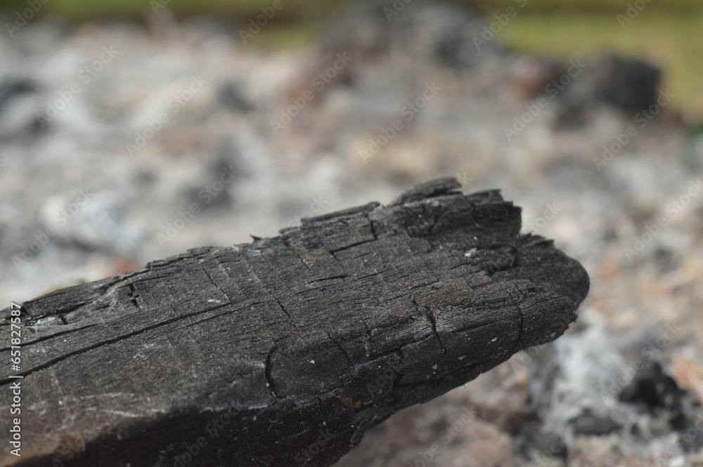 residue from the burning of organic waste such as wood, dry twigs and leaves, ashes and charcoal residue from the burning of organic waste such as wood, dry twigs and leaves, ashes and charcoal