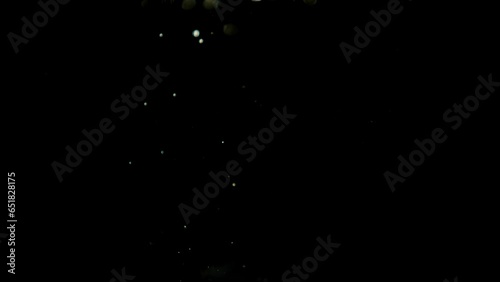 air bubbles overlay