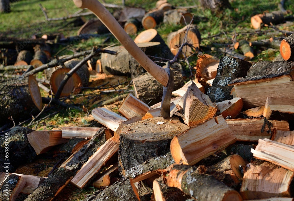 Chopping wood in the garden in the village in autumn