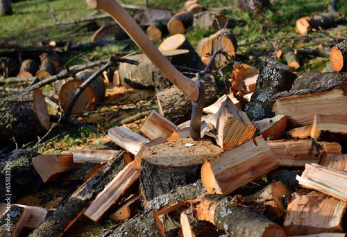 Obraz na płótnie Chopping wood in the garden in the village in autumn w salonie