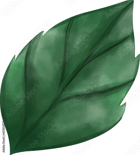 watercolor green leaf vector. Icon for wedding invitation card, greeting card, anniversary, fabric, romance, bouquet, pattern, decoration and textile