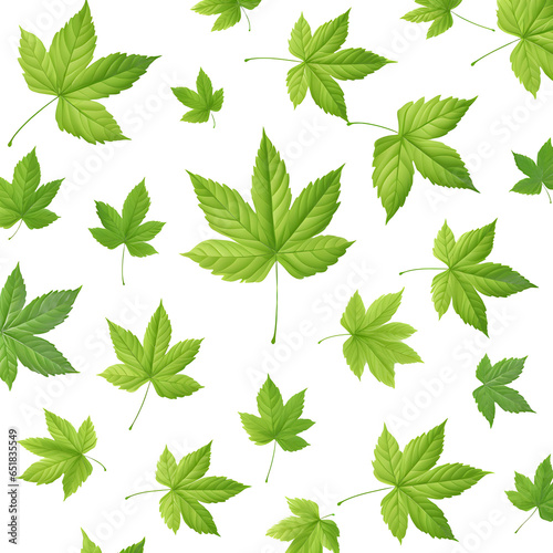 Leaves pattern on transparent background
