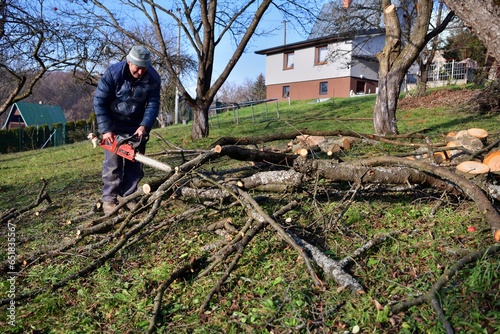 A gardener saws branches in an orchard in autumn with a chainsaw