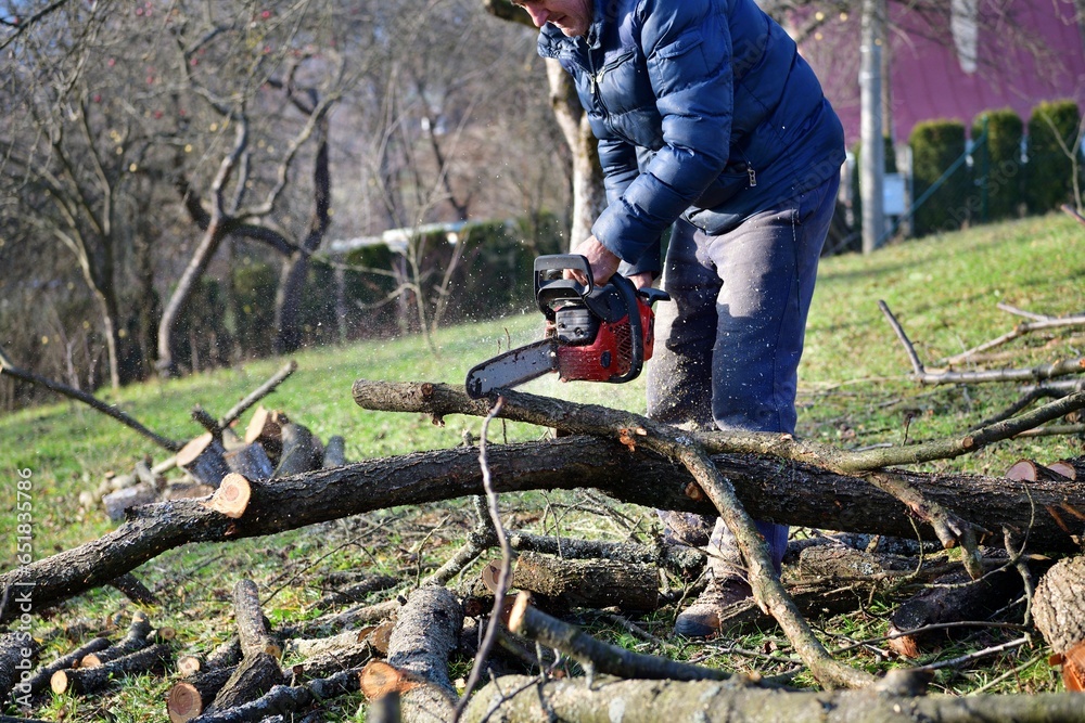 The gardener cleans the orchard of fallen branches and pruned trees in autumn