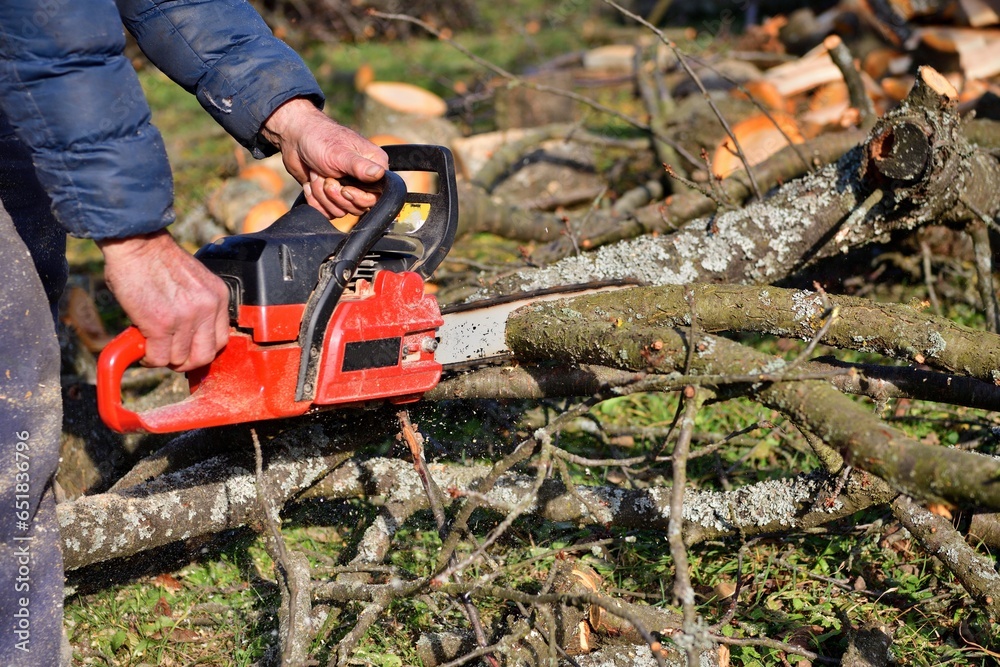 The traditional way of sawing a tree with a chainsaw