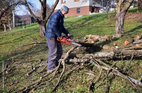Obraz na płótnie A gardener saws branches in an orchard in autumn with a chainsaw w salonie