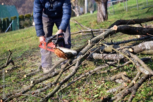 The traditional way of sawing a tree with a chainsaw