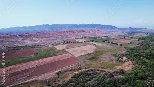 Aulie agash, 700 year old elm tree, Almaty region, Kazakhstan. Aerial view photo