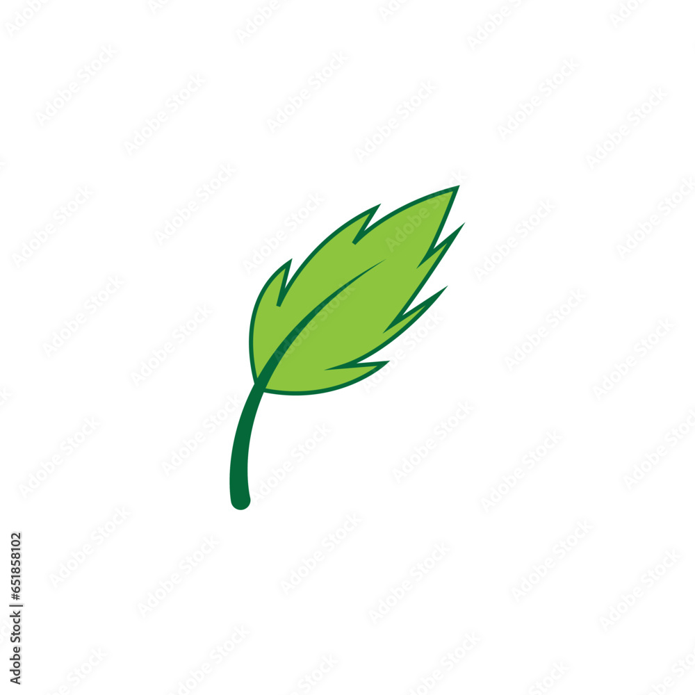 Leaves icon vector set isolated on white background. Various shapes of green leaves of trees and plants. Elements for eco and bio logos. Leaves icon vector set isolated on white background. Various shapes of green leaves of trees and plants. Elements for eco and bio logos.