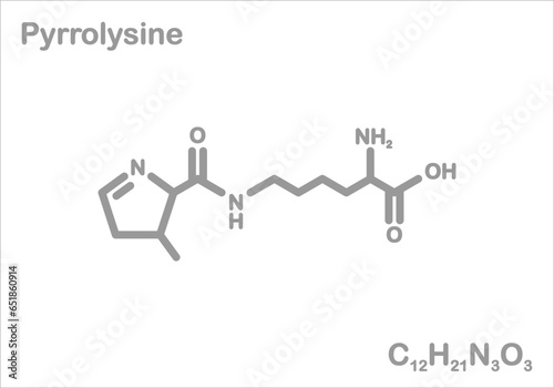 Pyrrolysine. Simplified structural formula. 