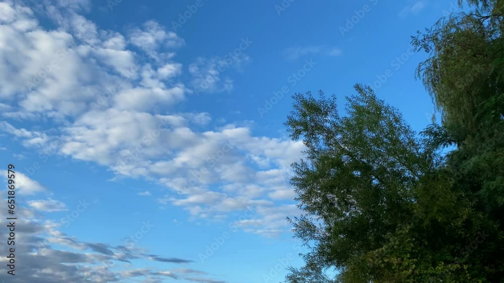 Bright clouds on blue sky. Slow passage of cumulonimbus in a clear sky. Tree leaves in the foreground. Bright clouds on blue sky. Slow passage of cumulonimbus in a clear sky. Tree leaves in the foreground.
