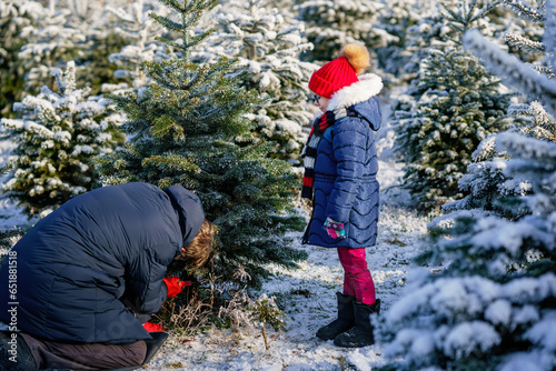 Happy little girl and dad felling Christmas tree. Preschool child with father, young man on fir cutting plantation. Family choose, cut and fell own xmas tree in forest. Germany tradition photo
