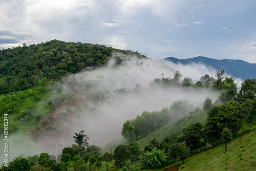Natural mountain view on Doi Chang, Chiang Rai Province, Thailand