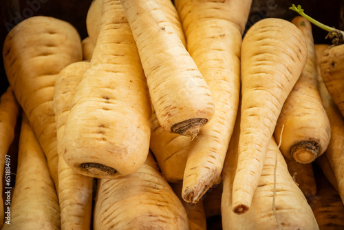 healthy parsnips fresh seasonal local produce on display in a farmers market where vegetables go from farm to table. root vegetables are typical food in European autumn and winter © drew