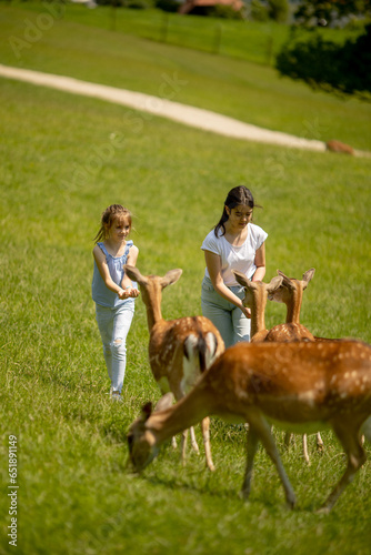 Little girls among reindeer herd on the sunny day photo