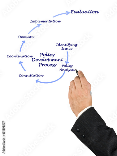 Components of Policy Development Process