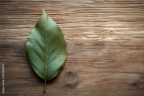 bay leaves on a wooden background