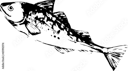 ギンダラの魚拓のイラスト