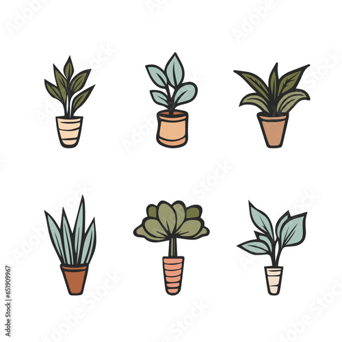 Potted plants collection. House plants. Hand drawn vector art. Set
