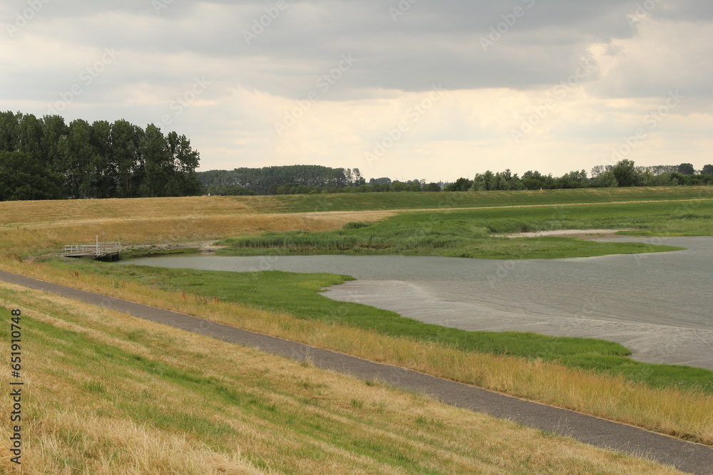 a drainage channel and green salt marsh in the bend of the seawall of the westerschelde sea at the dutch coast in zeeland