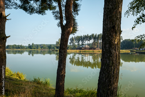 Beautiful nature. Reservoir on the Wieprz River. Pine trees reflecting in the water in the foreground. The island in the background. Pine forests. Morning light. Roztocze, Krasnobrod, Poland