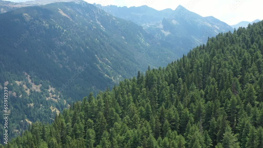 Aerial view, flight over pine tree forest and majestic peaks in Pirin mountain in Bulgaria, Europe. HQ 4k Apple ProRes video. Aerial view, flight over pine tree forest and majestic peaks in Pirin mountain in Bulgaria, Europe. HQ 4k Apple ProRes video.