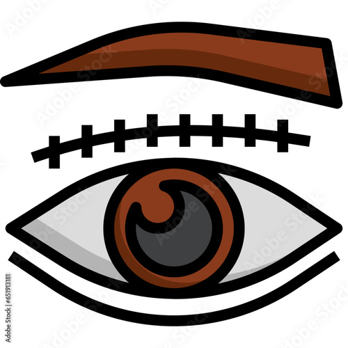 BLEPHAROPLASTY filled outline icon,linear,outline,graphic,illustration