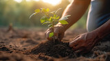 Person planting trees, Concept of community participation in environmental conservation and sustainability. Generative Ai