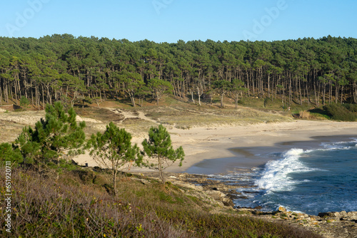Melide beach surrounded by a pine forest in Home Cape natural zone at sunset in Rias Baixas. Pontevedra, Galicia, Spain.
