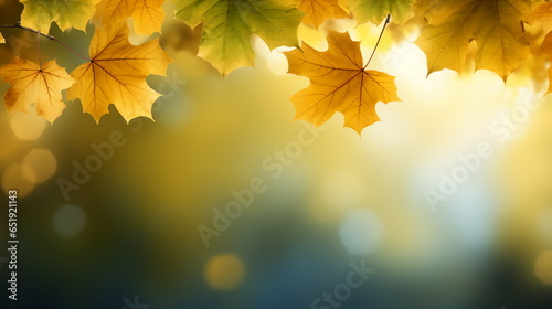 Autumn natural background, design, banner or template. Yellow and red maple leaves are flying and falling down. Autumnal landscape.