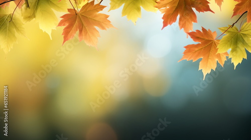 Autumn natural background  design  banner or template. Yellow and red maple leaves are flying and falling down. Autumnal landscape.